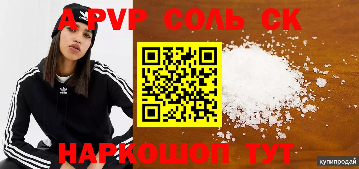 Alfa_PVP СК КРИС Туапсе