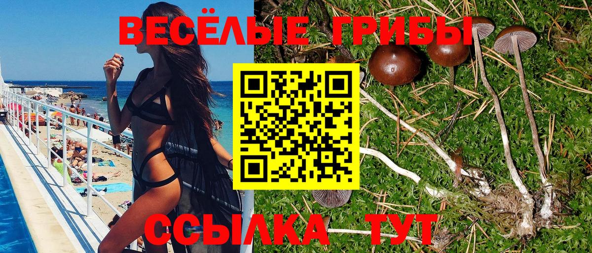 Галлюциногенные грибы Psilocybine cubensis  Вход с VPN  Туапсе 